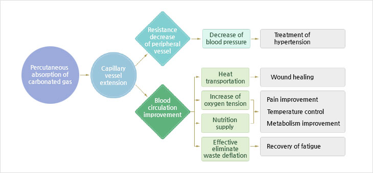 Basic concept of carbureted spring