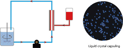 Liquid crystal capsuling