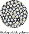 Biodegradable polymer