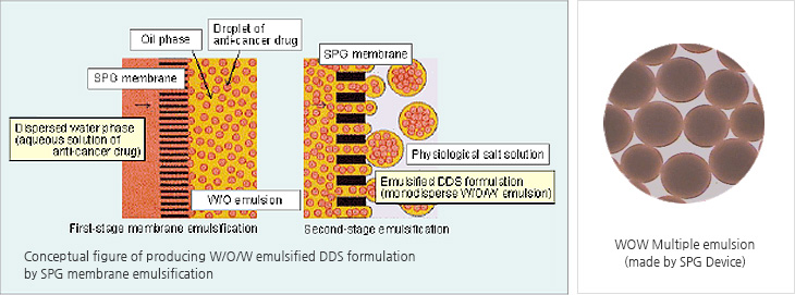 Conceptual figure of a system to produce W/O/W emulsified formulation